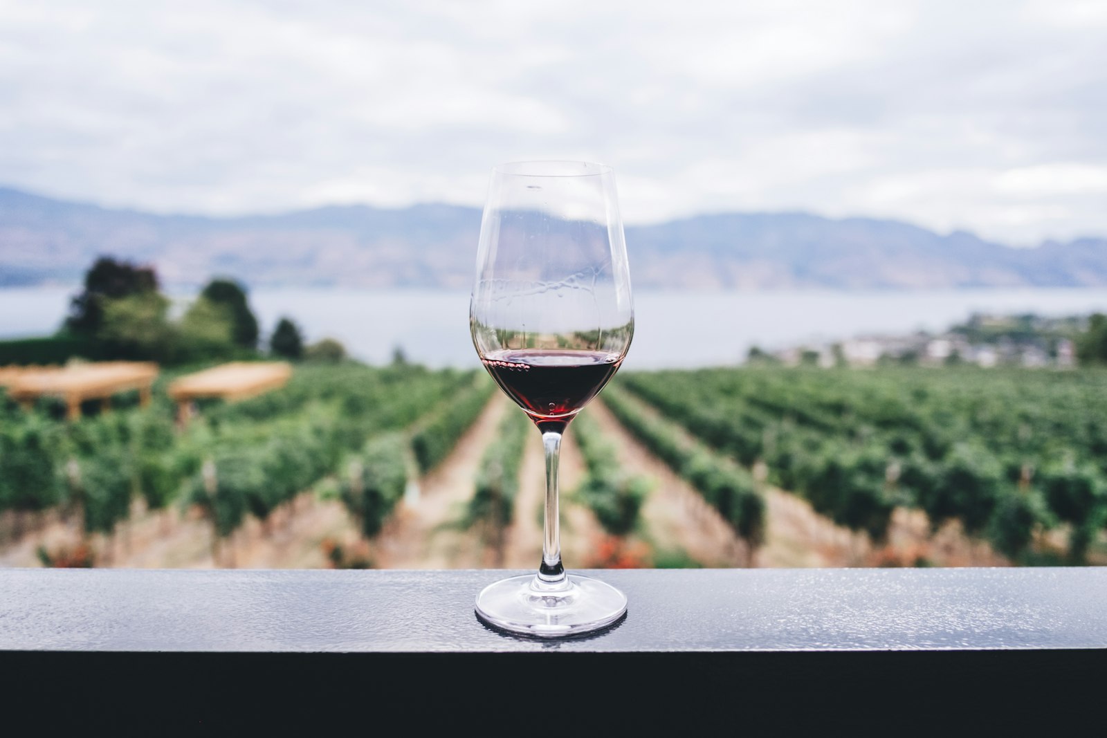 Wilson Creek Winery — Rancho California Wine Trail