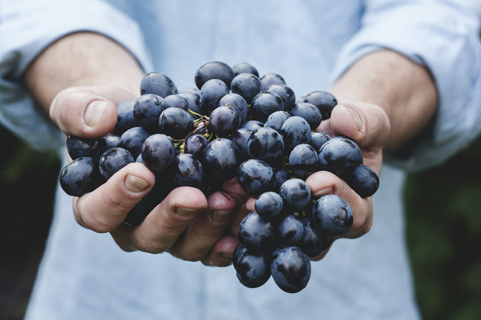 I Spent a Weekend Tasting Across Temecula — What I Learned